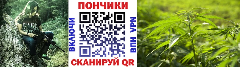 Конопля сатива  купить  цена  Всеволожск 